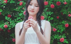 一夜一夜谢天天谢天天谢谢